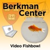 Berkman Center for Internet and Society: Video Fishbowl artwork