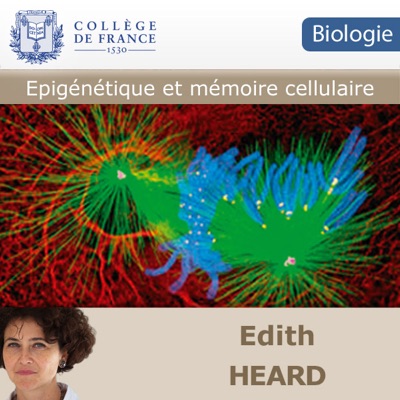 01 - Épigénétique, Environnement et Biodiversité 01 - Épigénétique, Environnement et Biodiversité