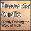 Precepts Audio artwork