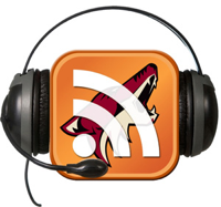 11/19/2014 - Coyotes Head Coach Dave Tippett
