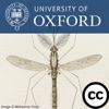 History of Tropical Medicine at Oxford artwork