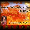 Why Shamanism Now - A Practical Path to Authenticity artwork