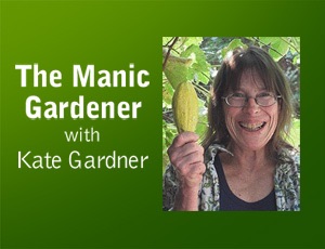 The Manic Gardener – Energy and Landscaping: Surprising Connections
