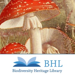 Histoire naturelle des champignons comestibles et vénéneux /