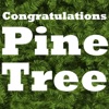 Congratulations Pine Tree artwork
