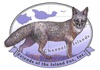 Friends of the Island Fox artwork