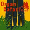 Organ Safari artwork