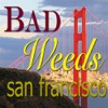 - Bad Weeds San Francisco *Queer!* artwork