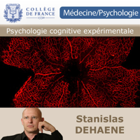 Psychologie cognitive expérimentale podcast