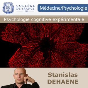 Psychologie cognitive expérimentale