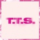 T.T.S. - sk8shoesba