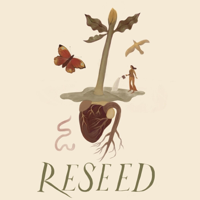 Seeding Regenerative Ideas and Dreams - Kamea Chayne