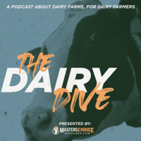 Introducing Amy Hoy | Dairy Dive 102