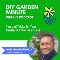 3 Things You Need to Do This Fall BEFORE Mulching Your Container Plants - DIY Garden Minute