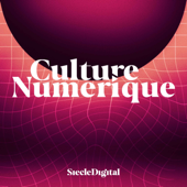 Culture Numérique - Siècle Digital