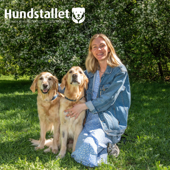 Hundstallet - Erika Garmelius