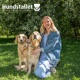 Från vanvård till en kärleksfull familj - hundstallshunden Stellas berättelse