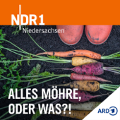 Garten: Alles Möhre, oder was?! - NDR 1 Niedersachsen