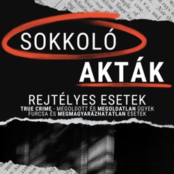 Feldarabolták, majd berakták a hűtőbe - Manijeh Starren Felkavaró Esete