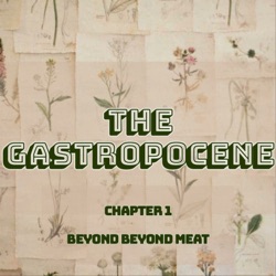 The Gastropocene