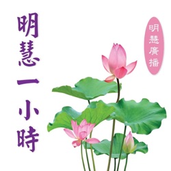 明慧一小時：“四·二五”的光芒