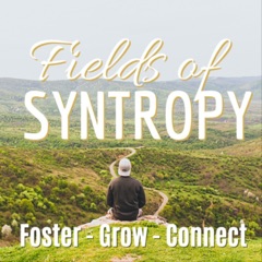 Syntropy the Hidden Hand of God