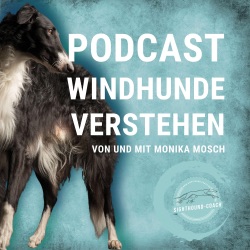 Die Beziehung zwischen Mensch und Windhund