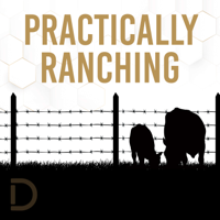#36 - Dan Thomson, Beef Industry Interpreter