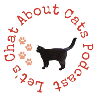 Lets Chat About Cats - Episode 20 Featuring Singer and Musician Katey Brooks - Singer on The Fire Cats Movie