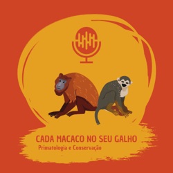 Cria de Macaco-aranha - 2022