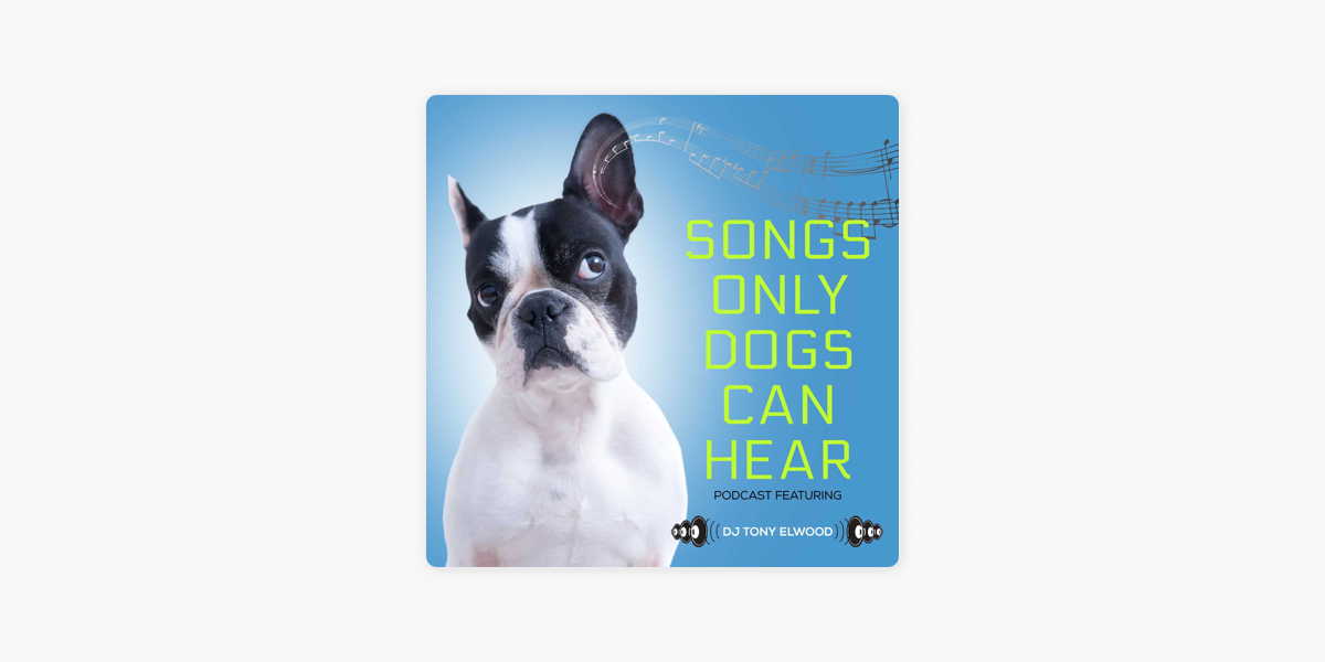 what songs do dogs like to hear