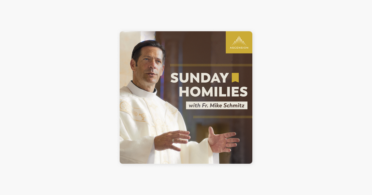 sunday-homilies-with-fr-mike-schmitz-on-apple-podcasts