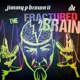 The Fractured Brain