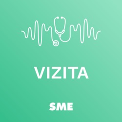 Vizita