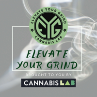 Mike McDonald - President,  Dablicator