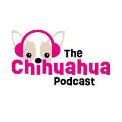 The Five Freedoms of Chihuahuas