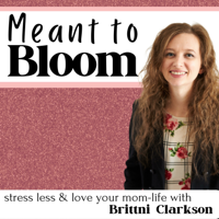 87: Money Management, Financial Freedom & Empowered Motherhood with Dr Raquel Muller