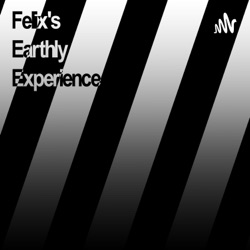 Felix's Earthly Experience