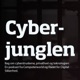 Cyberjunglen - fokus på it-sikkerhed