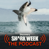Shark Week: The Podcast - discovery+