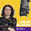 Leðurblakan - RÚV