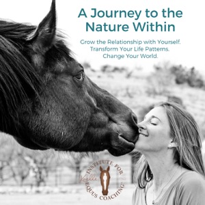 Journey to the Nature Within Podcast