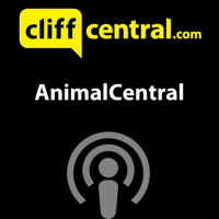 AnimalCentral podcast