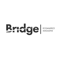 Ecommerce Bridge