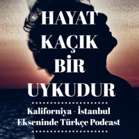 #301 Uzaydan Atlayanlar