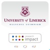 University of Limerick artwork