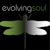 Evolving Soul Network artwork