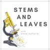 STEMS AND LEAVES artwork