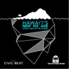 Hawaiʻi's New Ice Age: Crystal Meth in the Islands artwork