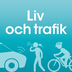 “Barn behöver vistas i det offentliga rummet för att lära sig trafik” Karl de fine Licht, doktor i praktisk filosofi Chalmers/RISE